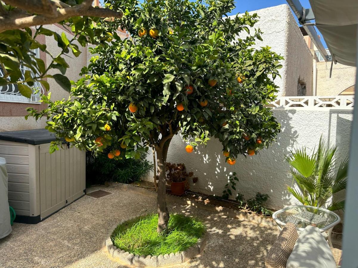 Large Villa Private Pool And Garden Near Beach Roquetas de Mar Bagian luar foto